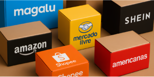 Captura de tela 2026 02 06 103736 (1)